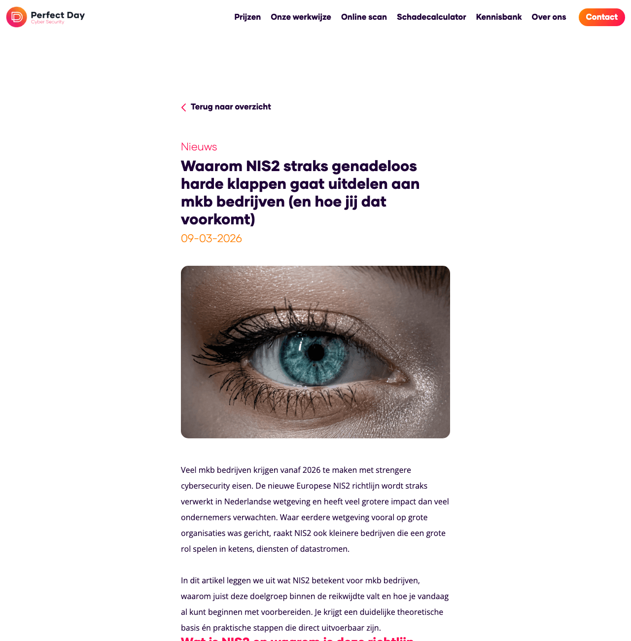 Artikel over NIS2 voor het mkb op perfectday.nl, geschreven door Timmermans Media