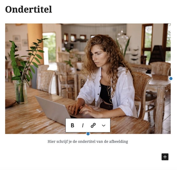 Blog ondertitel afbeelding
