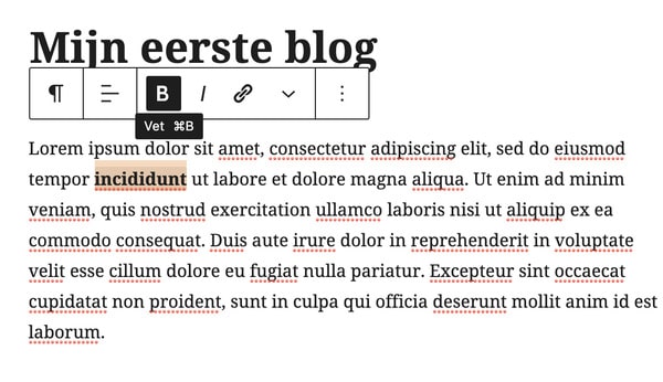 blog schrijven wordpress