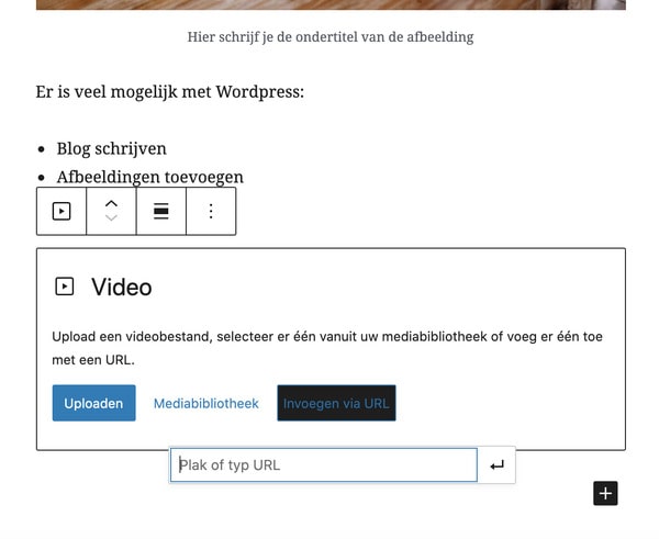 Blog schrijven wordpress
