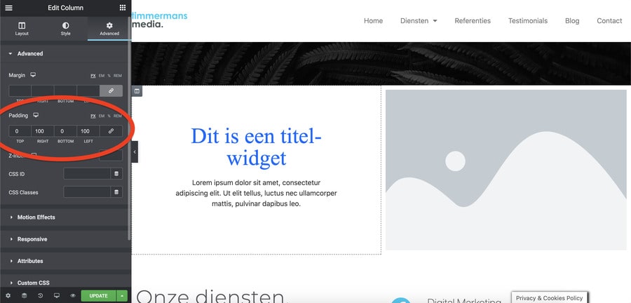 Wordpress Elementor Handleiding