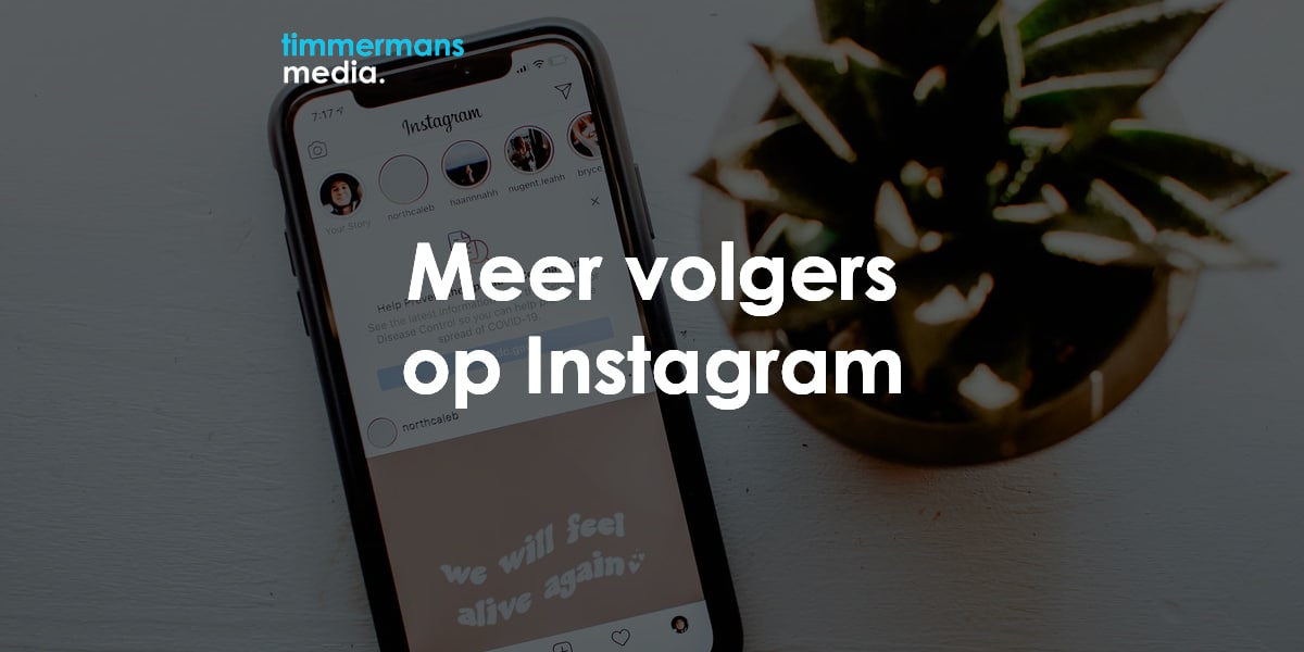 Grote waanidee Pluche pop Horzel Meer volgers op Instagram krijgen? De beste tips!